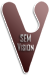 SEM Vision
